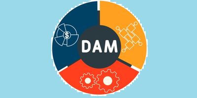 Delving Deeper into the Future of Digital Asset Management