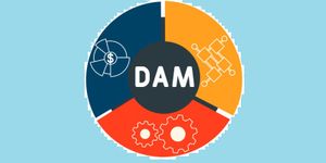 Future of Digital Asset Management