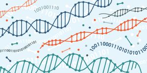 Genetic Algorithm